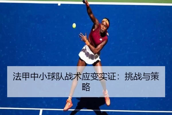fa-jia-zhong-xiao-qiu-dui-zhan-shu-ying-bian-shi-zheng-tiao-zhan-yu-ce-lve-3-875.jpg