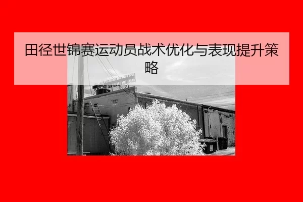 tian-jing-shi-jin-sai-yun-dong-yuan-zhan-shu-you-hua-yu-biao-xian-ti-sheng-ce-lve-3-781.jpg